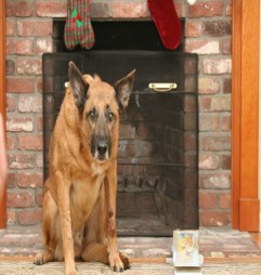 Image 3A